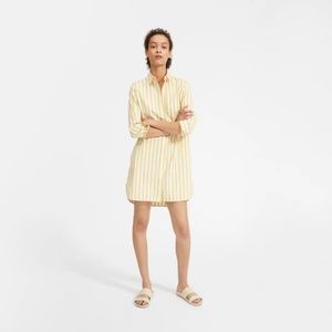Everlane Shirt Dress